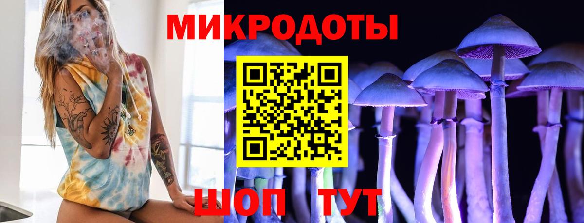 Галлюциногенные грибы Cubensis Ставрополь
